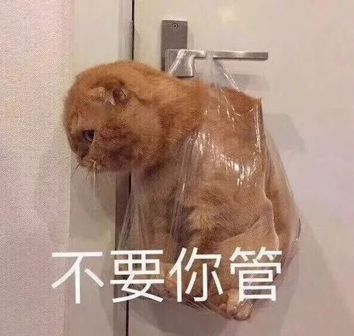 王珞丹和超模最爱的搭配神器就是它,半价带回家