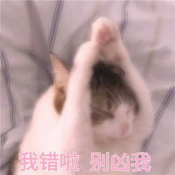 哄男朋友的表情包超萌无水印撩男朋友撒娇卖萌表情包带字2019