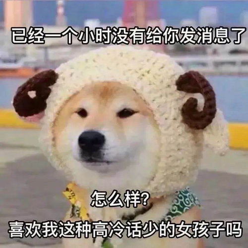 沙雕表情包分享我能有什么坏心思呢