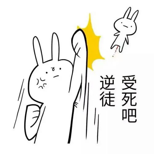 活脱脱的师徒表情包堆糖,美好生活研究所