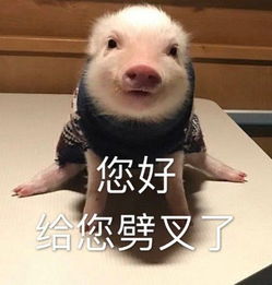 表情天道好轮回脱发饶过谁