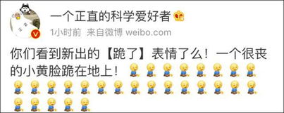 给跪了微博新出的表情包要火搜狐搞笑搜狐网