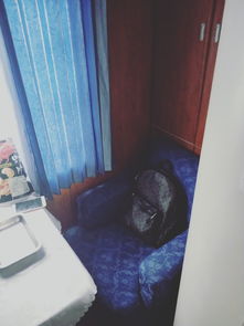 高软绿皮车中低调奢华的旅行z158次旅行