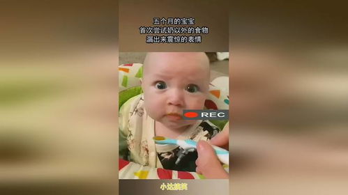 五个月的宝宝,首次尝试奶以外的食物,漏出来震惊的表情