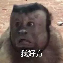暴雨来袭自贡开启看海模式现场积水严重,但是