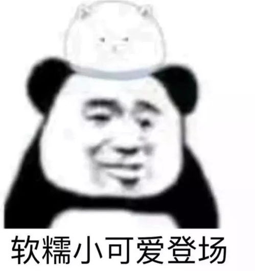 宋祖儿安利蛋白粉饮料,网友却担心她把肾喝坏了...
