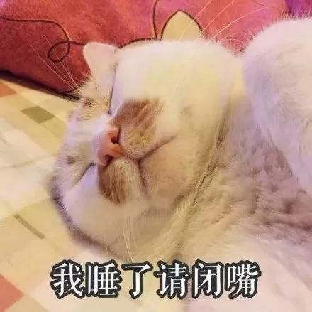 表情包我睡了请闭嘴