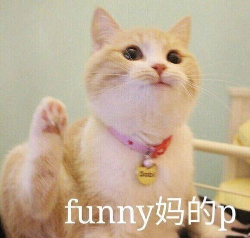 你们的妈妈有劝你们不要结婚的吗