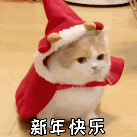 新年表情包过年男朋友不发红包怎么办