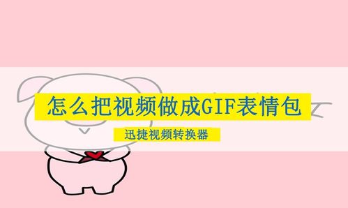 怎么把自己拍摄的视频做成gif表情包