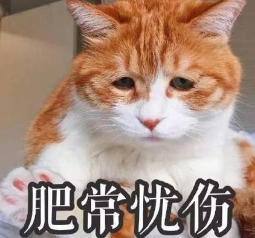 一组令人忧伤的表情包