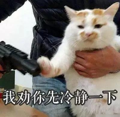 如果游泳可以减肥,海豹为什么那么胖段子