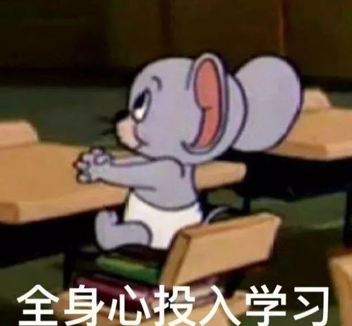 跨年晚会谢娜总算没垮掉,但我被她的粉丝恶心坏了
