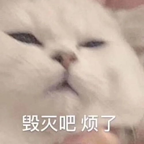 感谢的表情包可爱沙雕