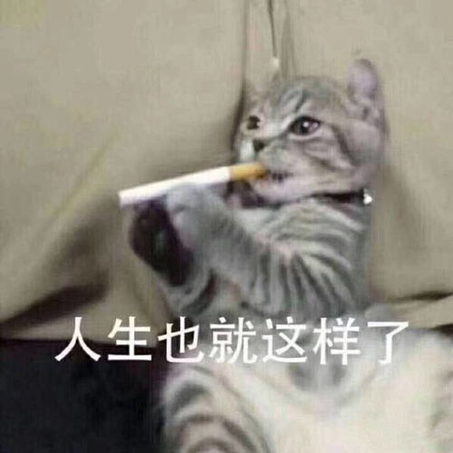 有哪些攻击性不大,侮辱性极强的句子