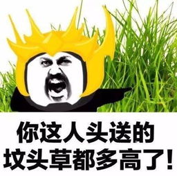 你的小仙女向你扔了一大堆表情包