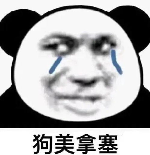 熊猫头表情包i等等我我瓶子快捡够了