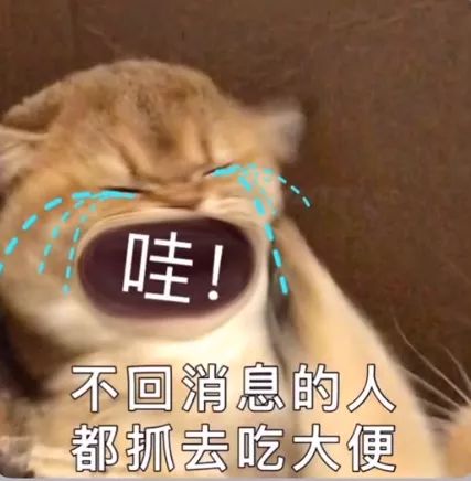 跟你女朋友聊天用的可爱表情包,伸手不打笑脸狗
