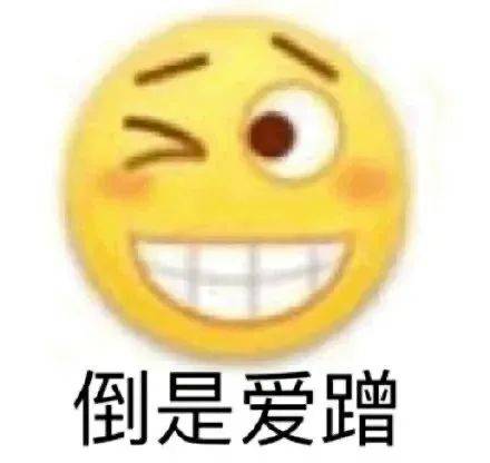爪巴爪巴爪巴