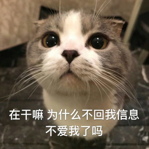 憨憨又可爱的文案恭喜你抽中一份大奖奖品是忘记不开心的事情