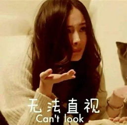 开学啦,四海八荒的同学们是否还缺一件法器