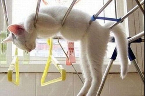 感觉楼主是个有毅力的傻逼写了那么长的故事