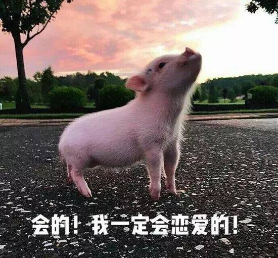 沙县小吃进军日本市场厨师还推出四大金刚系列