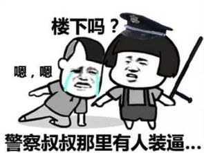网通社汽车健中冈星瑞