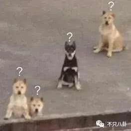 少发微博是为了多赚钱这位哥怎么老说大实话啊