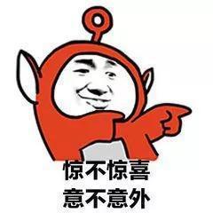 惊不惊喜表情包