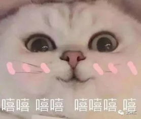 男生晒出与直女的聊天记录,比直男更可怕的是钢铁直女哈哈哈