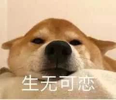 42.4面对高温天气,想不想给自己唱首凉凉