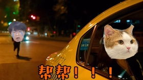 陈钰琪可可爱爱的抖音合集陈憨憨小仙女大可爱
