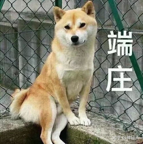 美丽芭蕾塑形的原理是什么