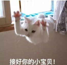 主播vs运营的十二时辰你知道是怎样的吗
