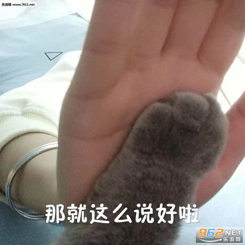 可乐雪碧狗情侣头像发出惊讶的声音表情包下载乐游网游戏下载
