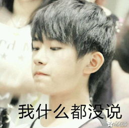 求tfboys的表情包,就是图片带字的那种