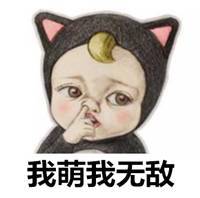 魔都骤然升温萌化势力席卷全城