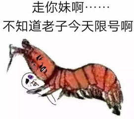 太册空了有人让网红决斗小龙虾pk皮皮虾,结果...