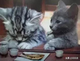 搞笑工地各岗位的表情包一览表,笑趴了
