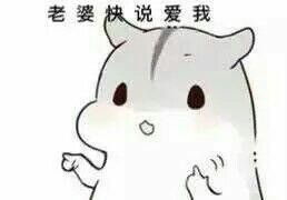 仓鼠夫君君表情图片下载仓鼠夫君妻奴表情包无水印版下载飞翔下载