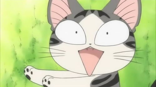 甜甜私房猫好大一只黑色的猫到家里来了,把洋平和小奇吓坏了
