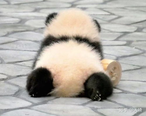 男朋友说想一个人静静,不想见面是为什么他说不是不喜欢了而是压力很大