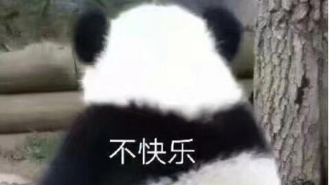 为什么你的眼里饱含泪水