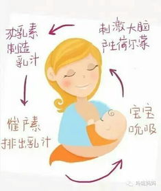 新追奶篇我的奶不够吃