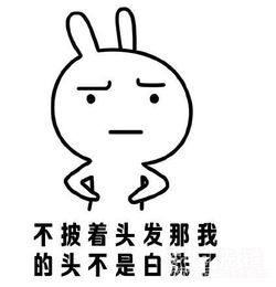 谁让我人丑脸大表情包梳起来丑啊表情素材v1.0正式版软件下载