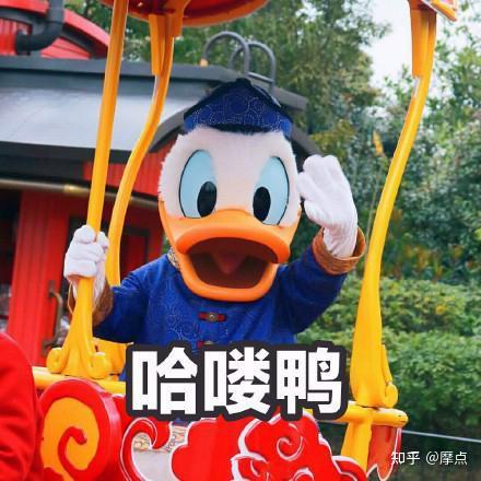 请大声祝唐纳德90周岁生日快乐特别推出的迪士尼漫画大师精选集全彩中文版在摩点首发啦,众筹即将破30w大关,限量早鸟已余额不足,唐老鸭迷们速速来抢