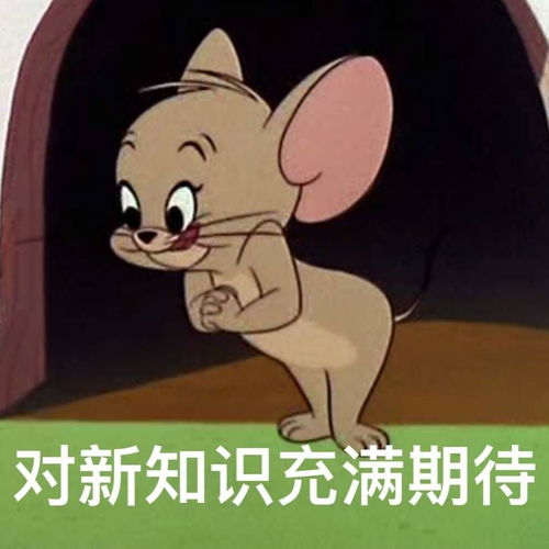 黄皮耗子表情包开学