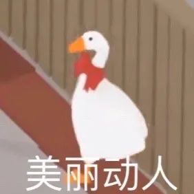 大鹅表情包你现在是本鹅的人了