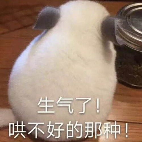 福州宝骏仓山旗舰店隆重开业啦